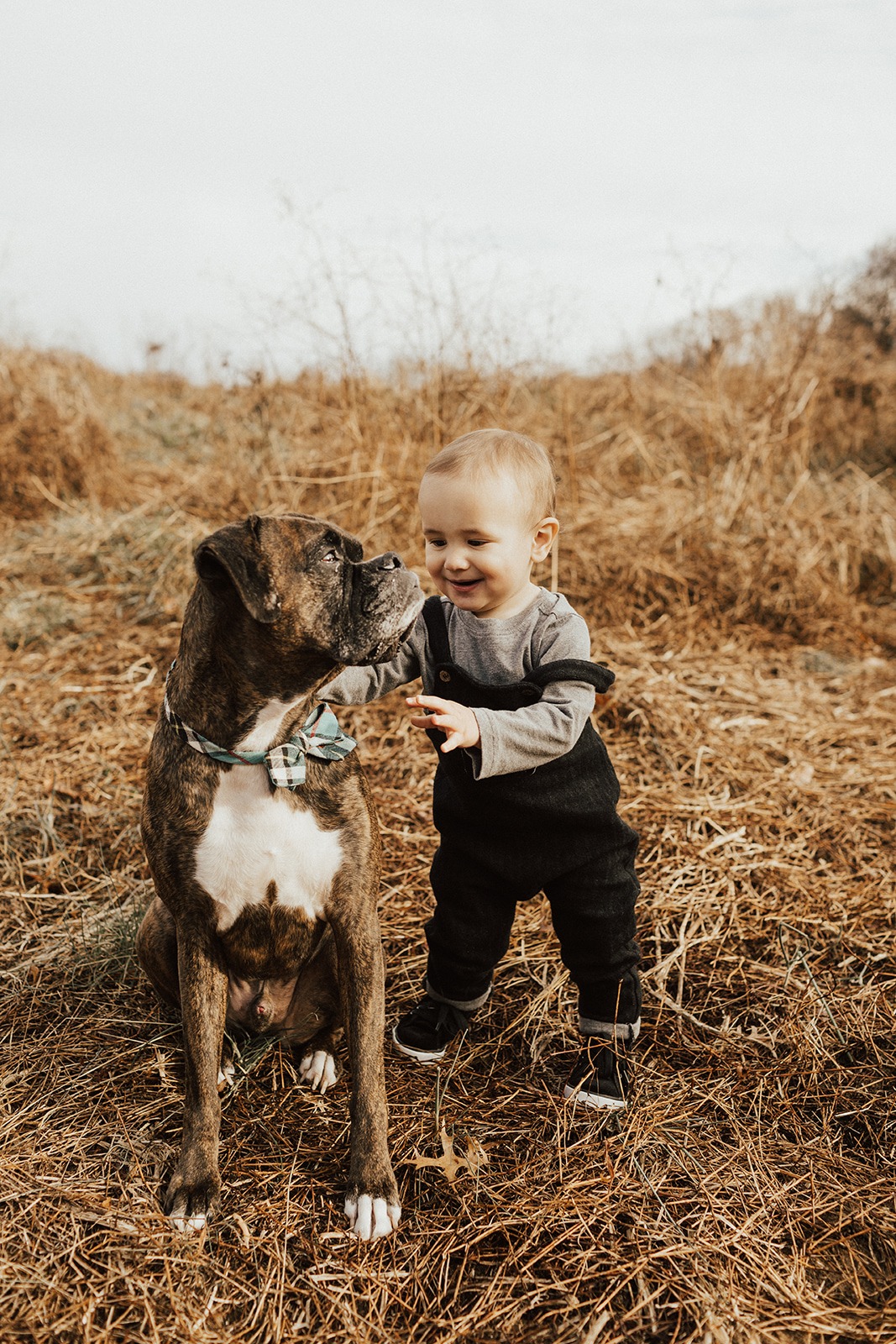 Koch Family | Shelly Pate Photography