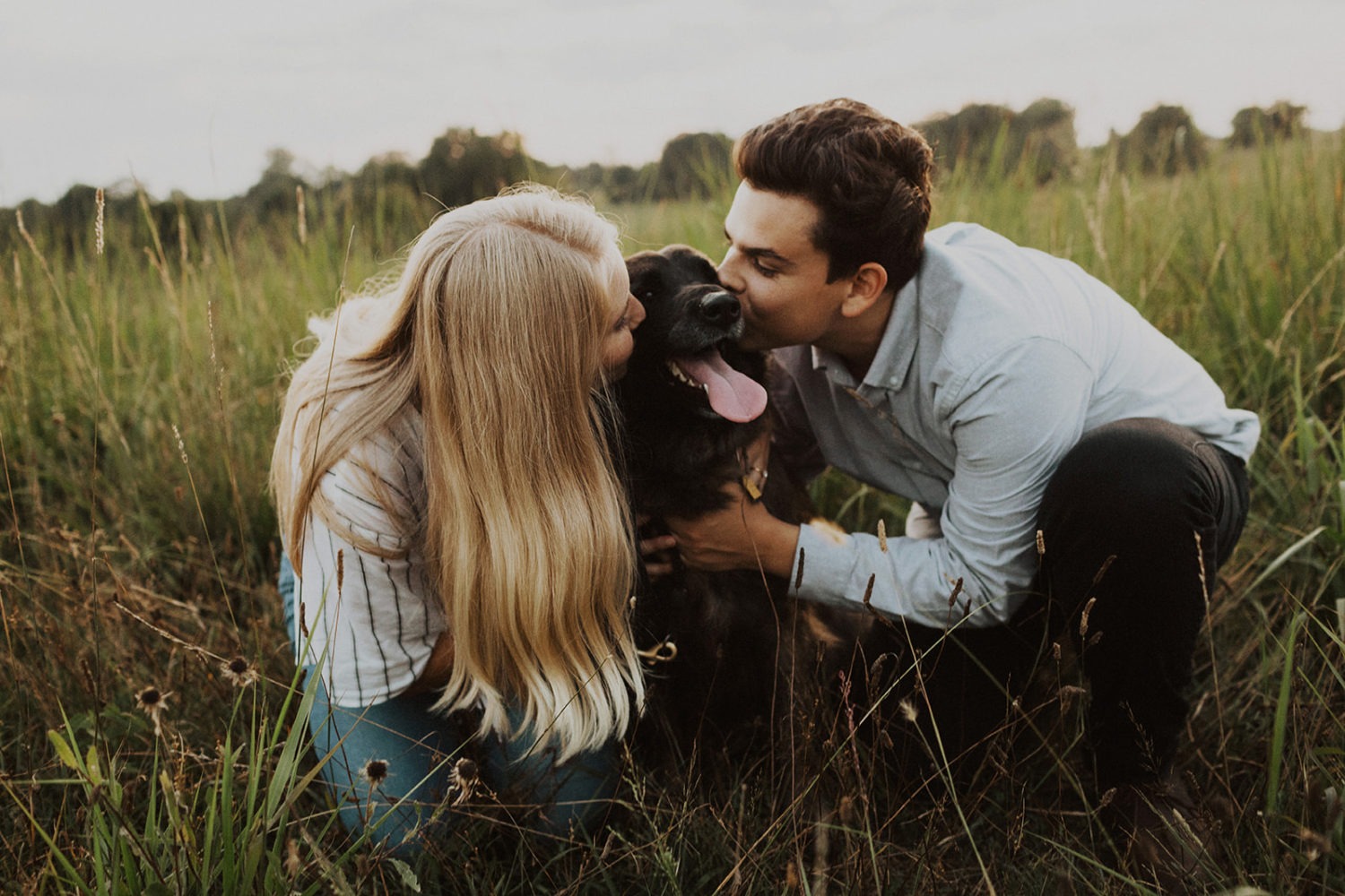 Couple kiss dog in grassy field