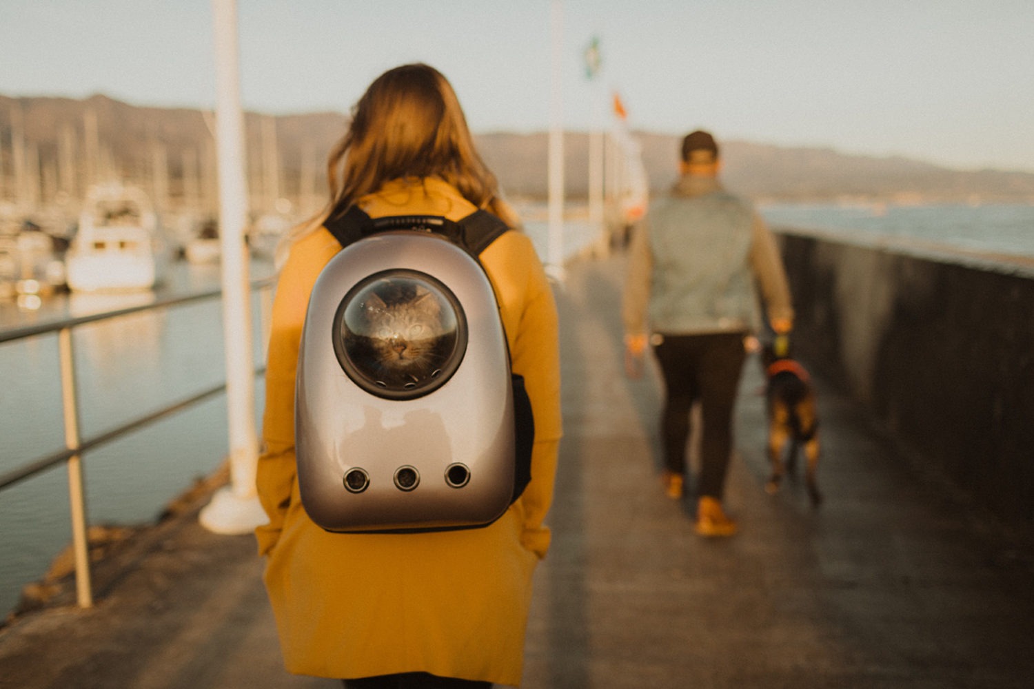 Woman carries her cat in a backpack at sunset.