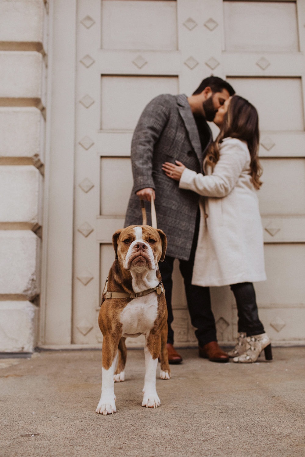 Couple kisses with dog at Washington DC winter engagement photo session