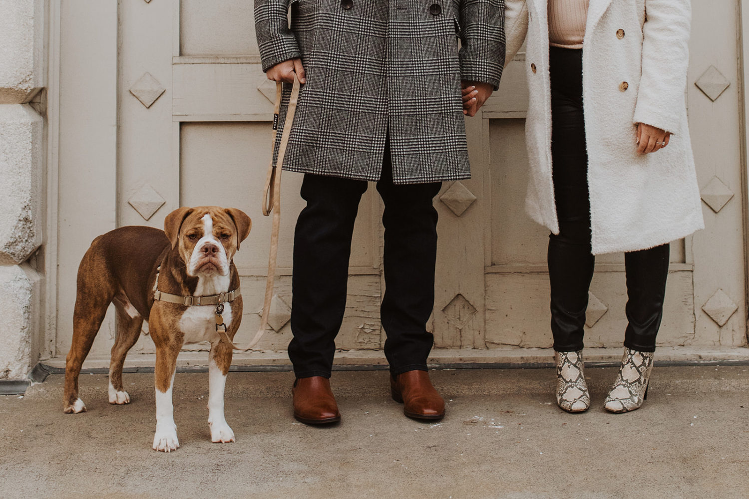 Couple poses with dog at Washington DC winter engagement photo session