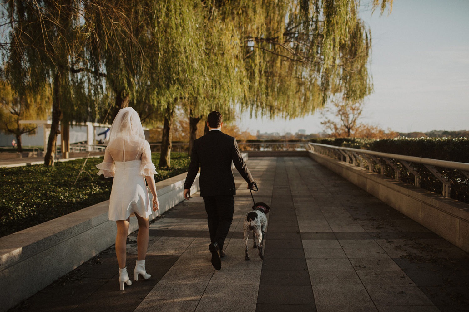 Newlyweds walk with dog at Kennedy Center Washington DC elopement
