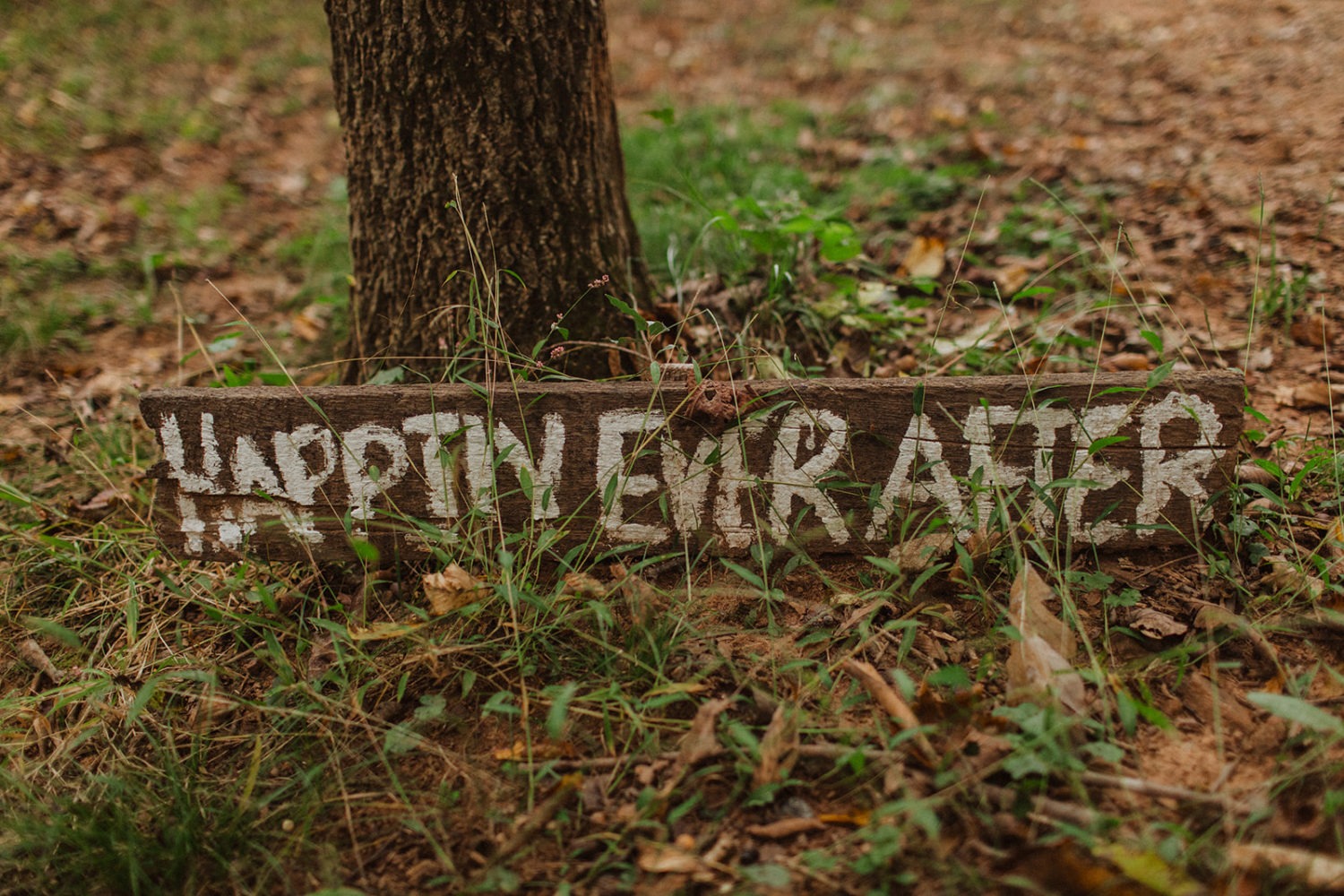Happily Ever After wooden wedding sign