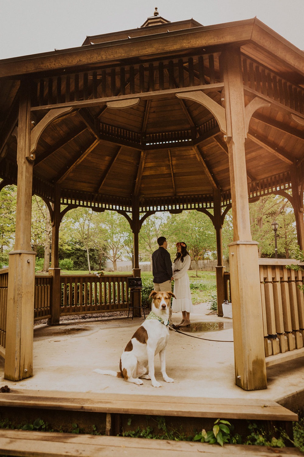 Dog stands leashed in gazebo with couple standing in background