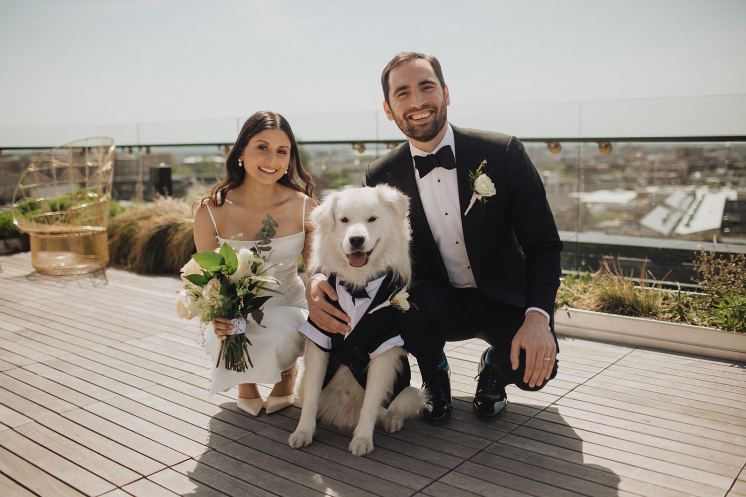 Couple sits with dog at DC rooftop elopement