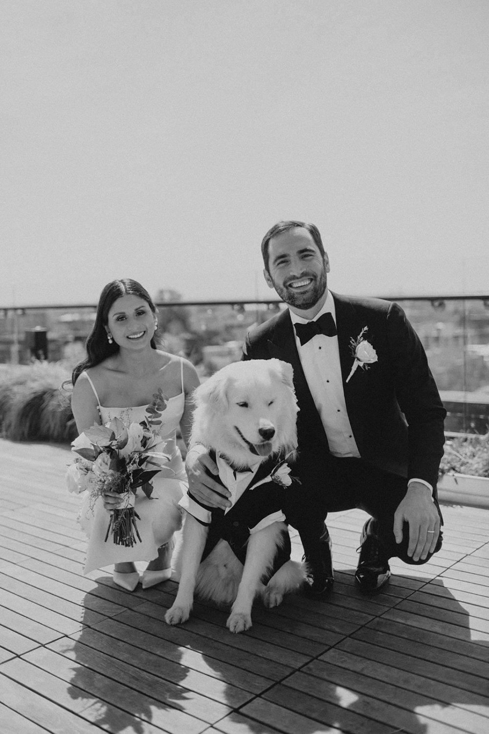 Couple sits with dog at DC rooftop elopement