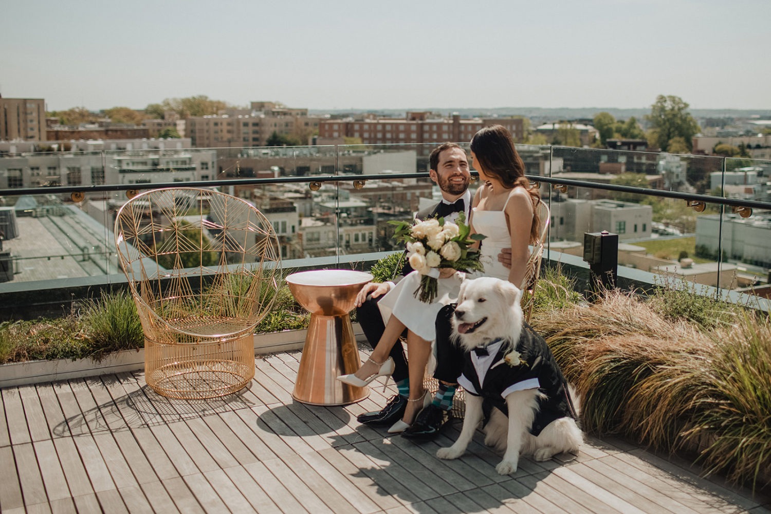 Couple sits with bouquet and dog on rooftop at last-minute elopement