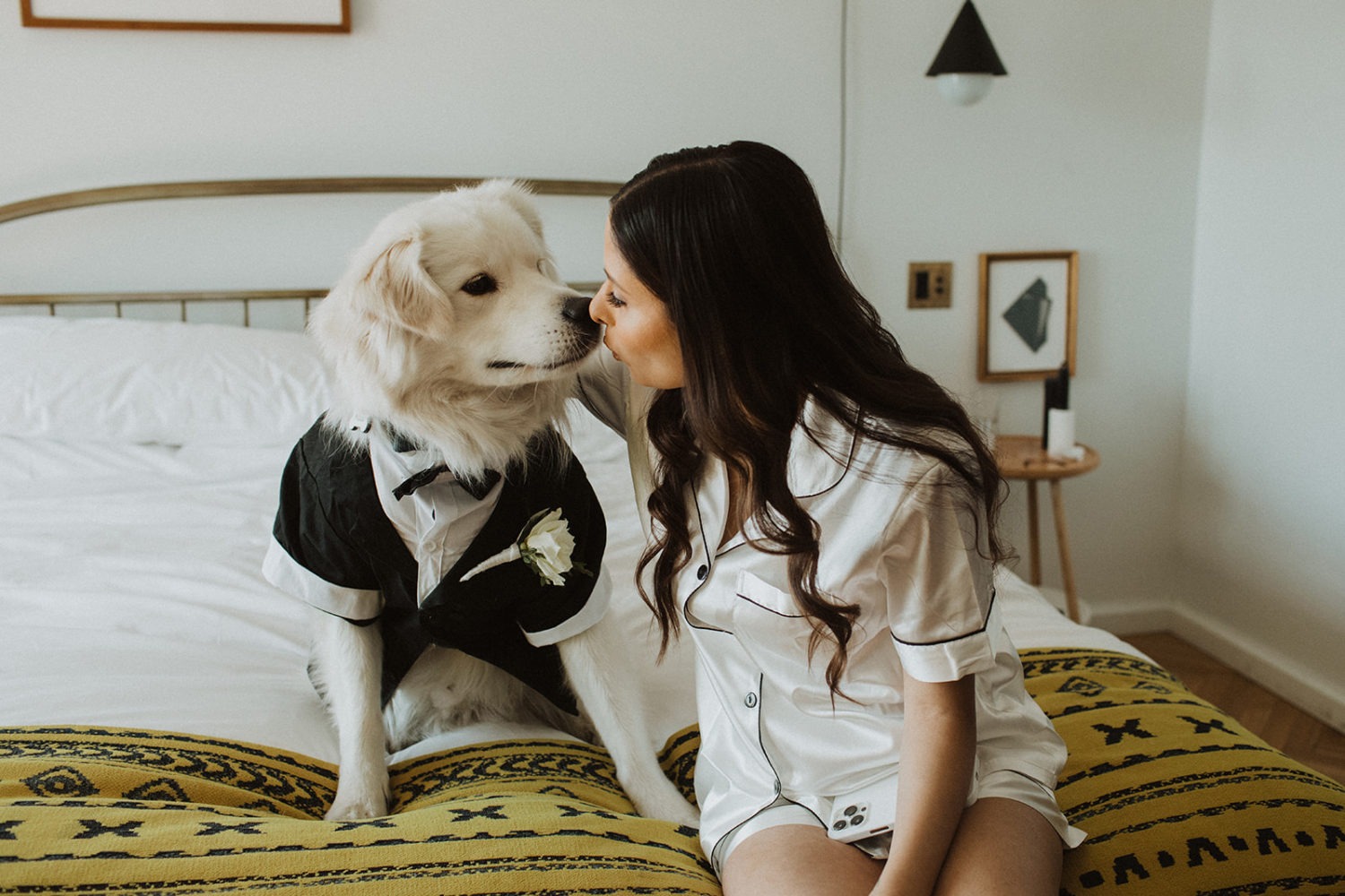 Bride kisses dog at DC hotel elopement