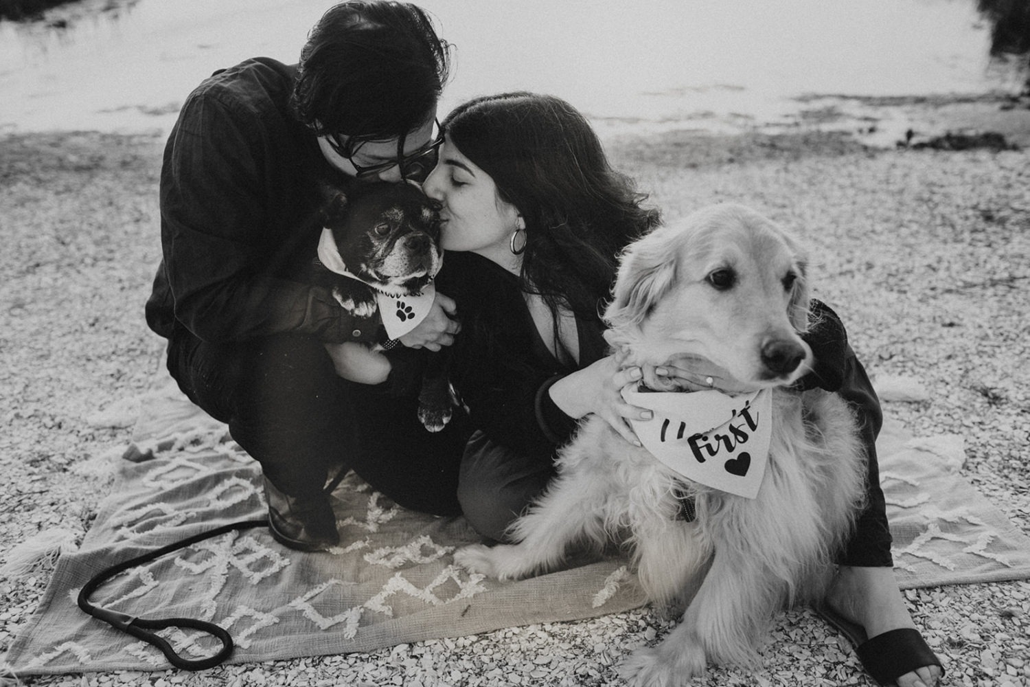 Couple holds their dogs at Assateague Island engagement session