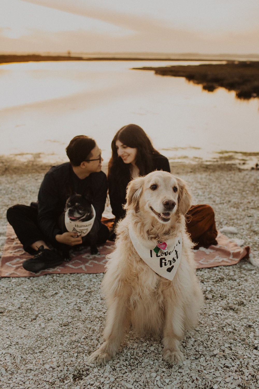 Couple sits with their dogs at Assateague Island engagement session