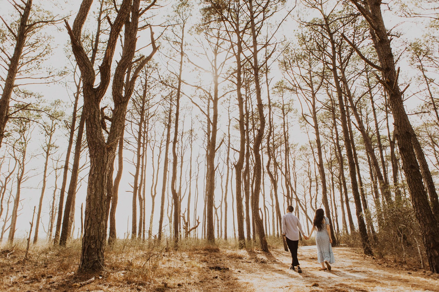 Couple holds hands while walking through forest at Assateague Island spring engagement session