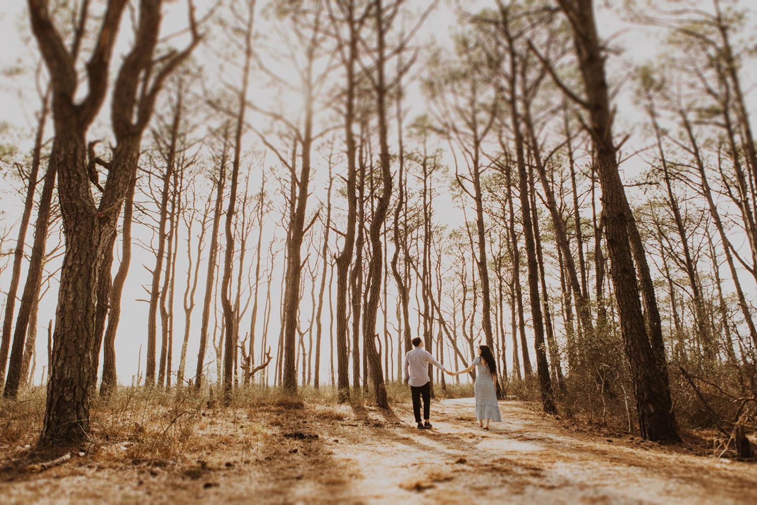 Couple walks through woods holding hands at Assateague Island engagement session