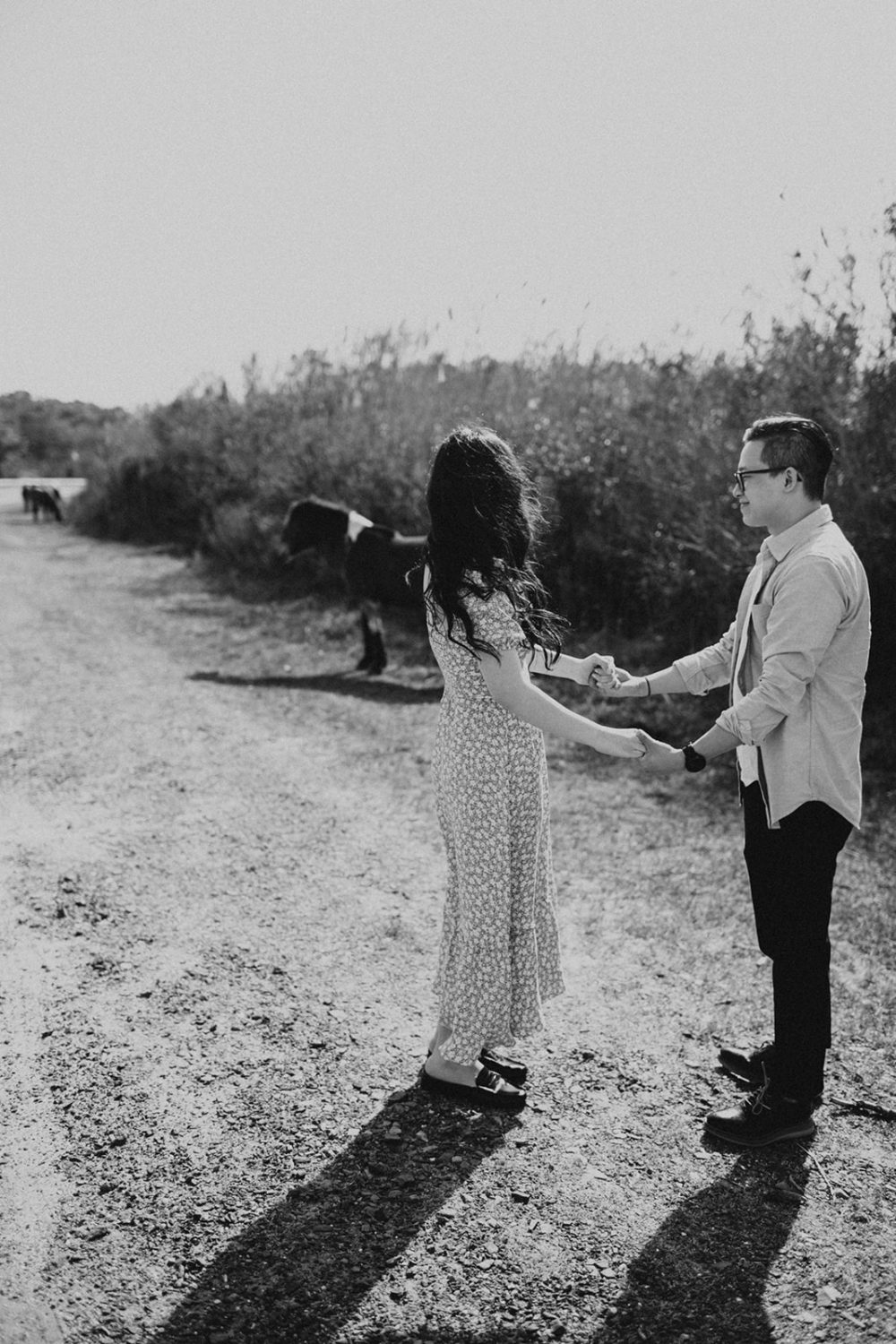 Couple holds hands watching wild horses at Assateague Island spring engagement session