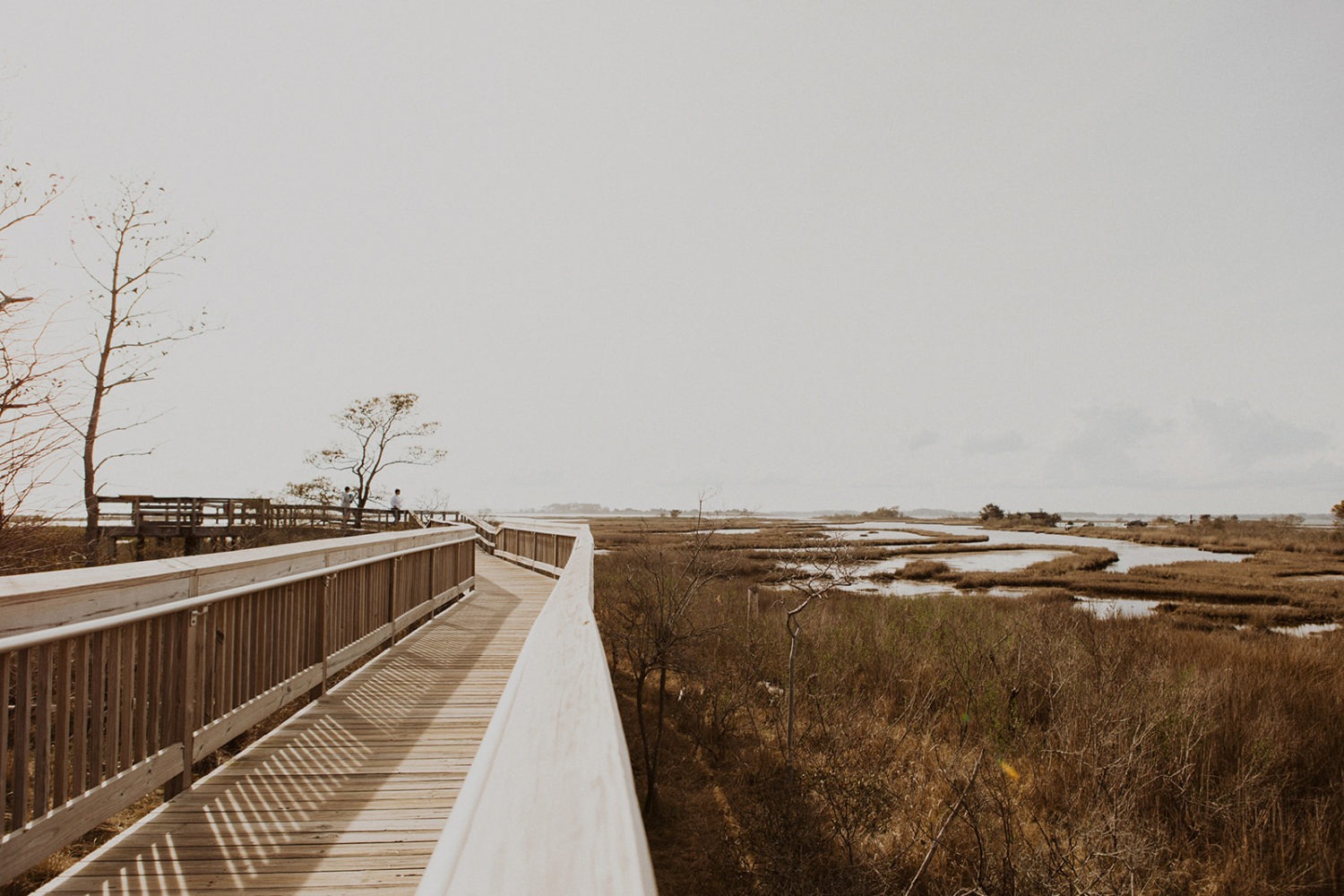 Boardwalk over marshes at Assateague Island 