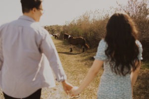 Couple holds hands by wild horses at Assateague Island engagement session