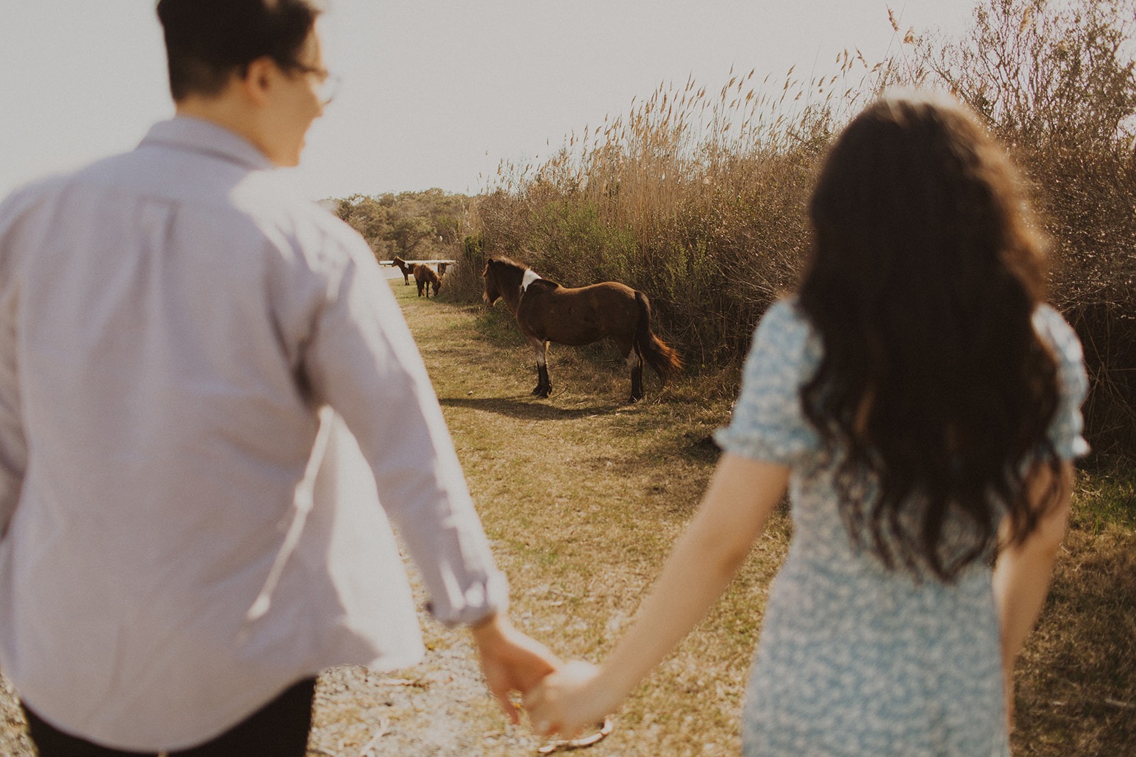 Couple holds hands by wild horses at Assateague Island engagement session