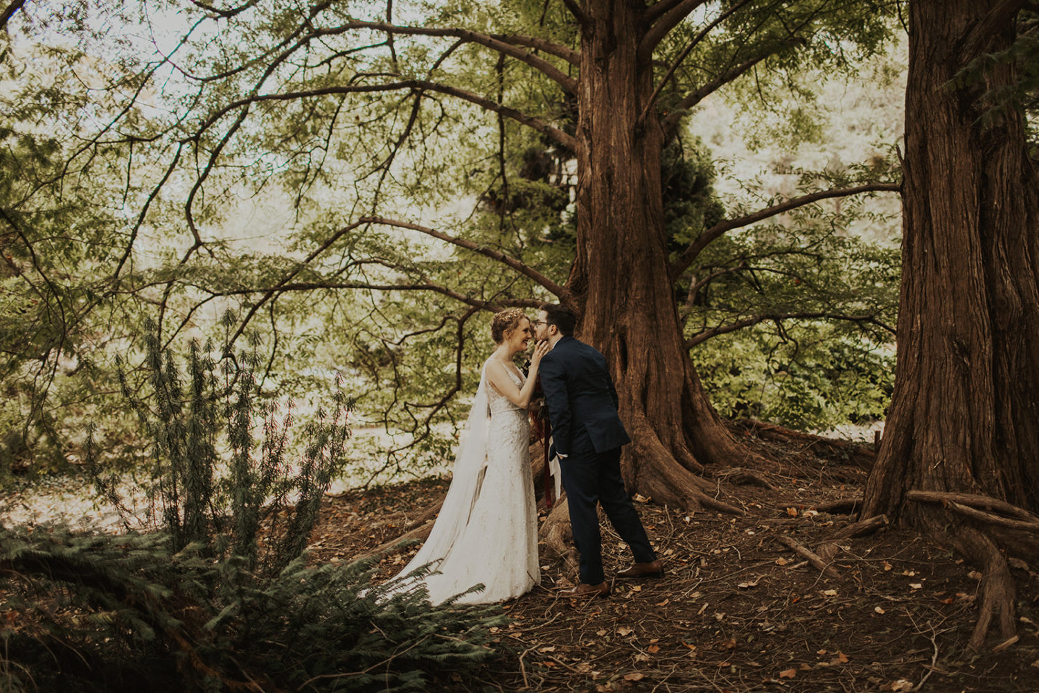 Couple kisses in woods at National Arboretum wedding