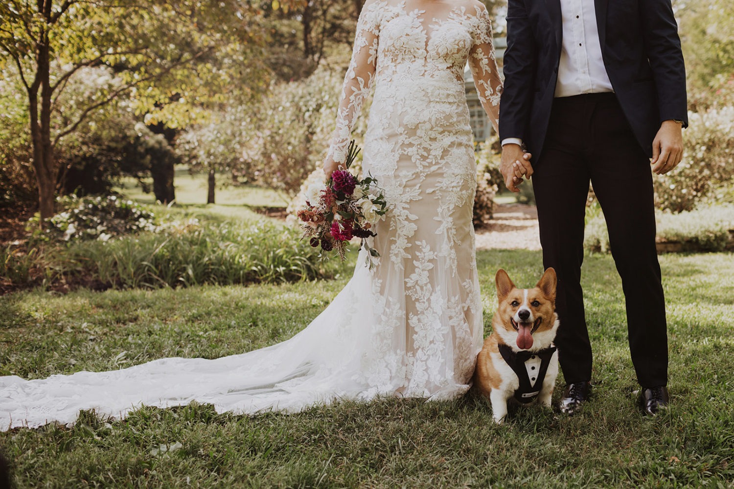 Couple stands holding hands with dog wearing tux 