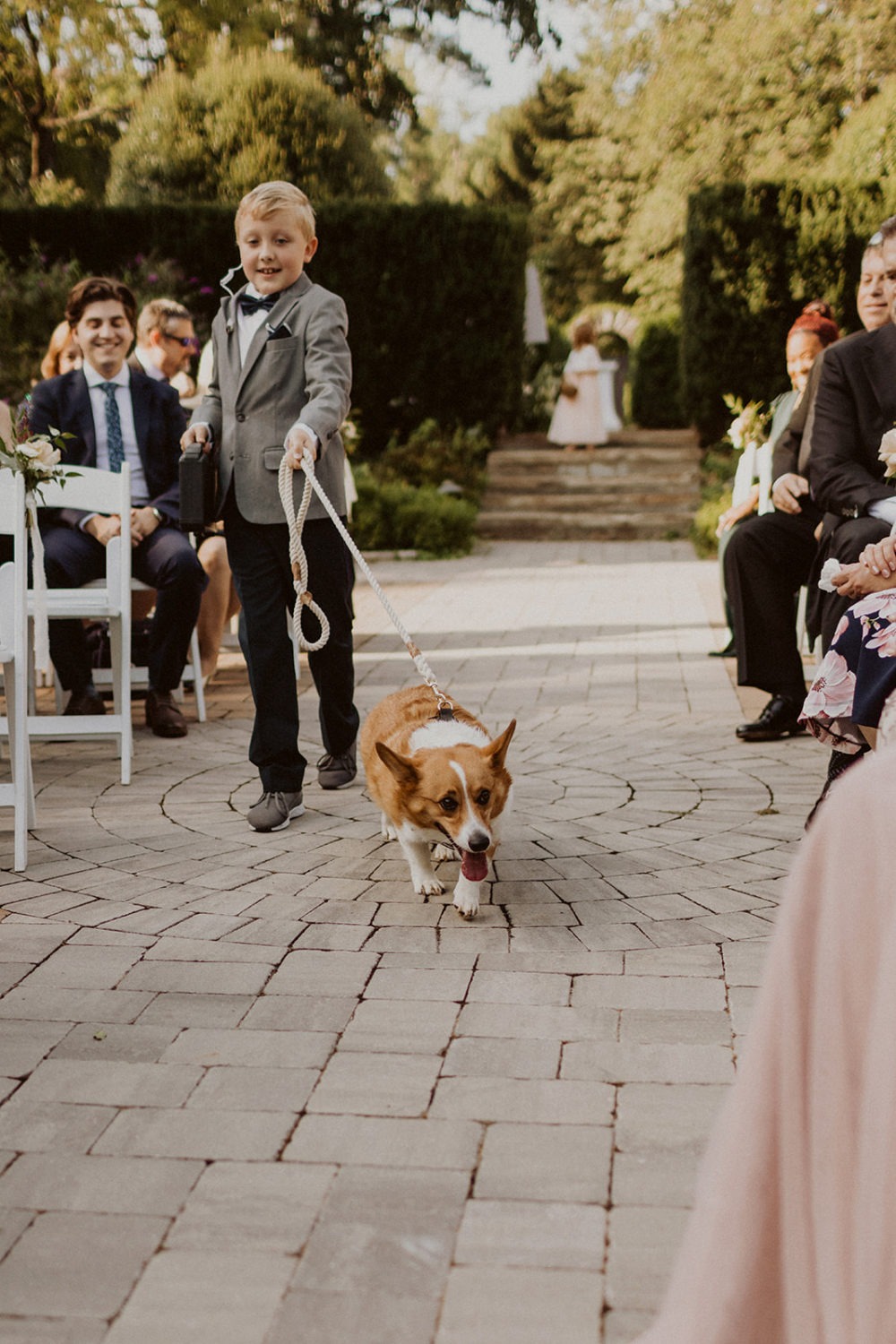 ring bearer walks dog down aisle at  at Airlie Warrenton, VA wedding venue 