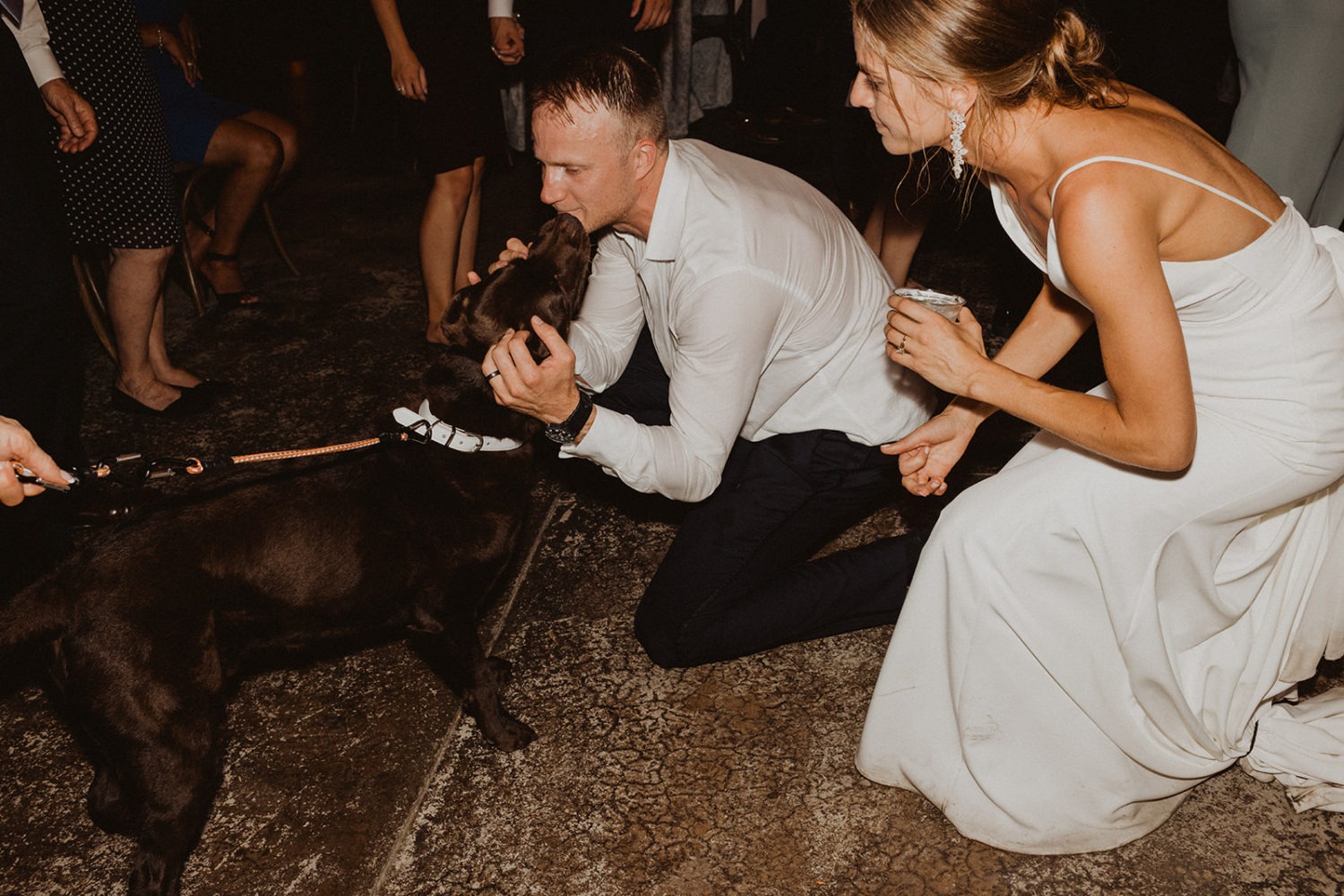 couple greets pet dog at wedding reception