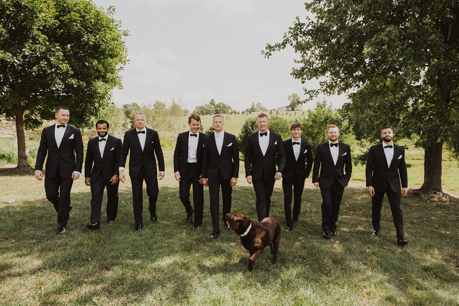 groomsmen walk with groom's dog
