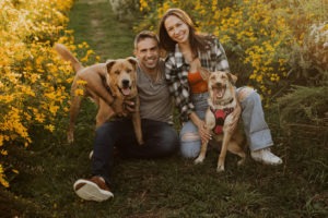 couple takes engagement photos with dogs in wildflower field