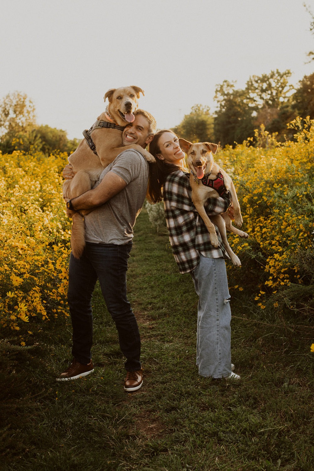 couple holds dogs in wildflower field engagement photos
