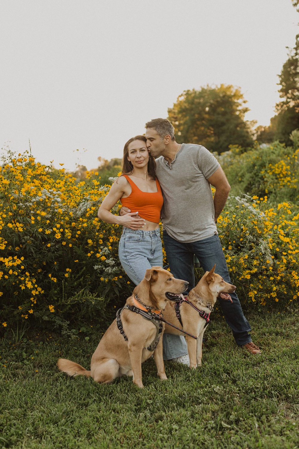 couple kisses in wildflower field at engagement session with dogs