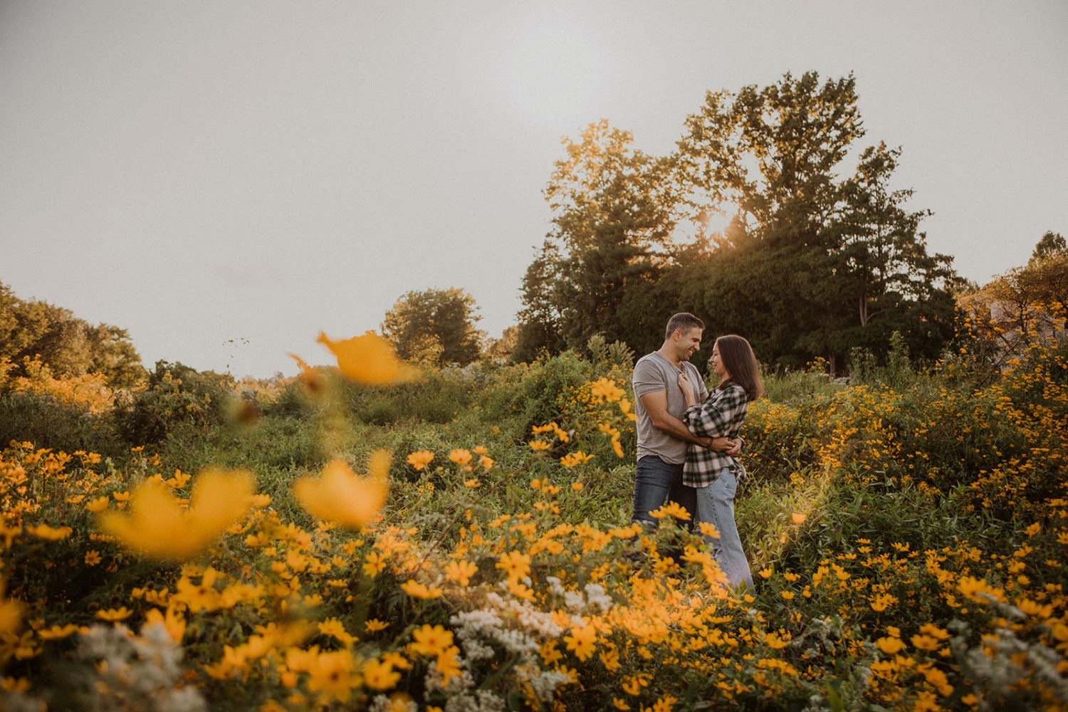 couple embraces in wildflower field at sunset engagement session