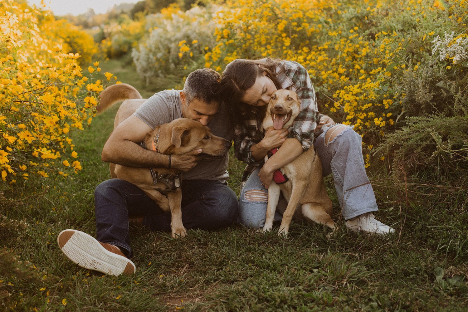 engagement photos with dogs in wildflower field