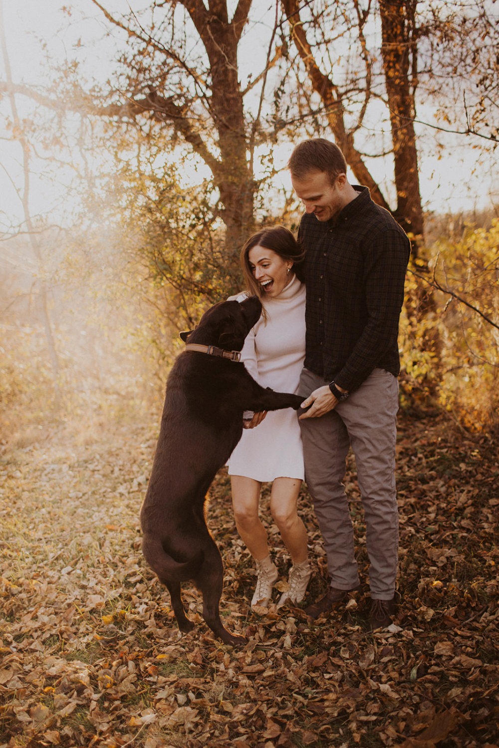 dog jumps up on couple at sunset fall leaves session