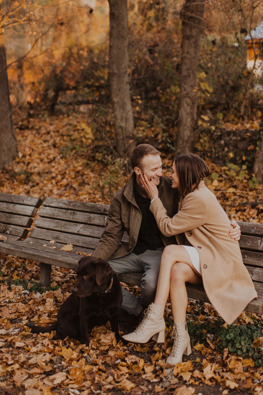 couple sits on bench with dog at fall engagement photos session