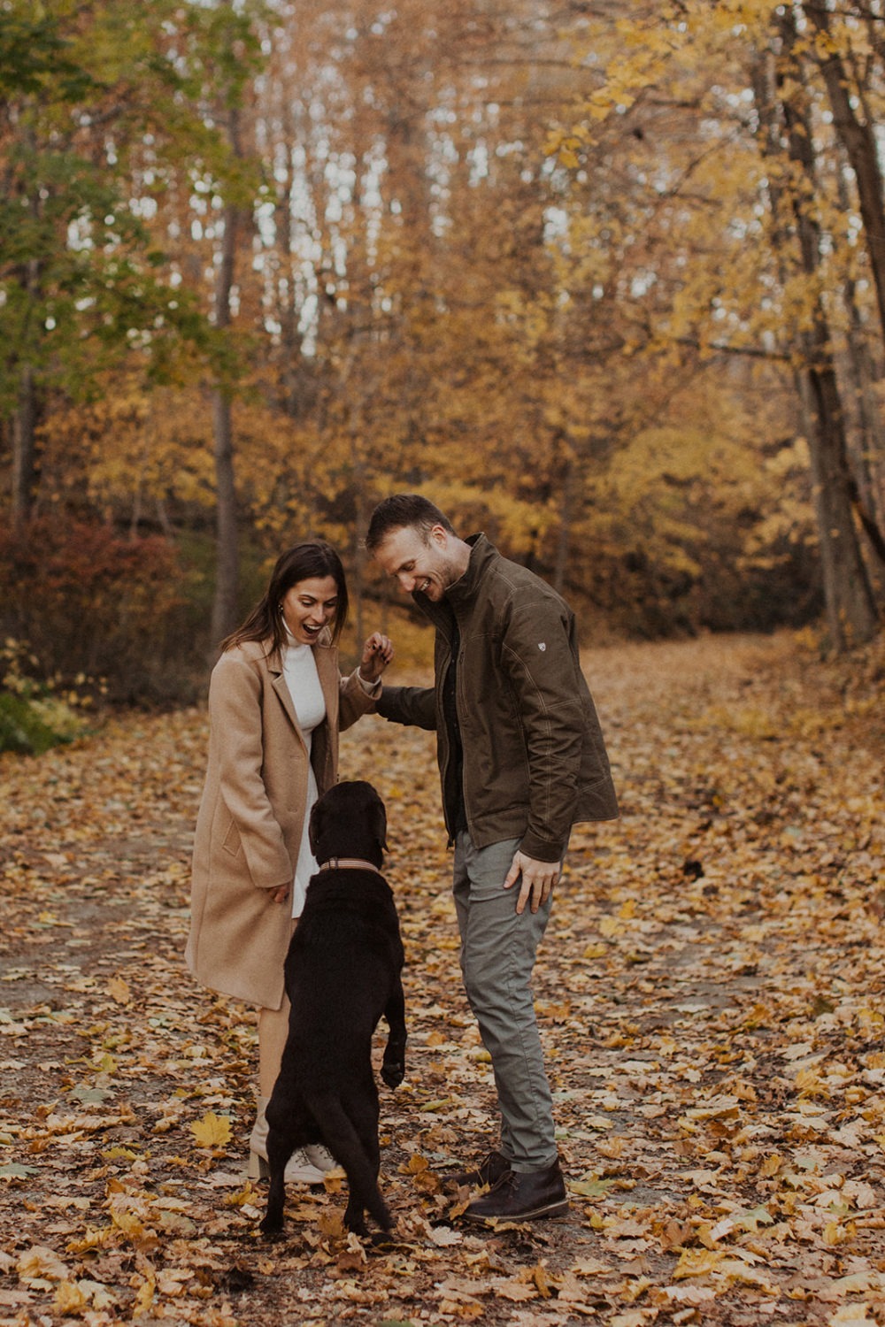 couple holds hands with dog jumping up on them at fall engagement photos session