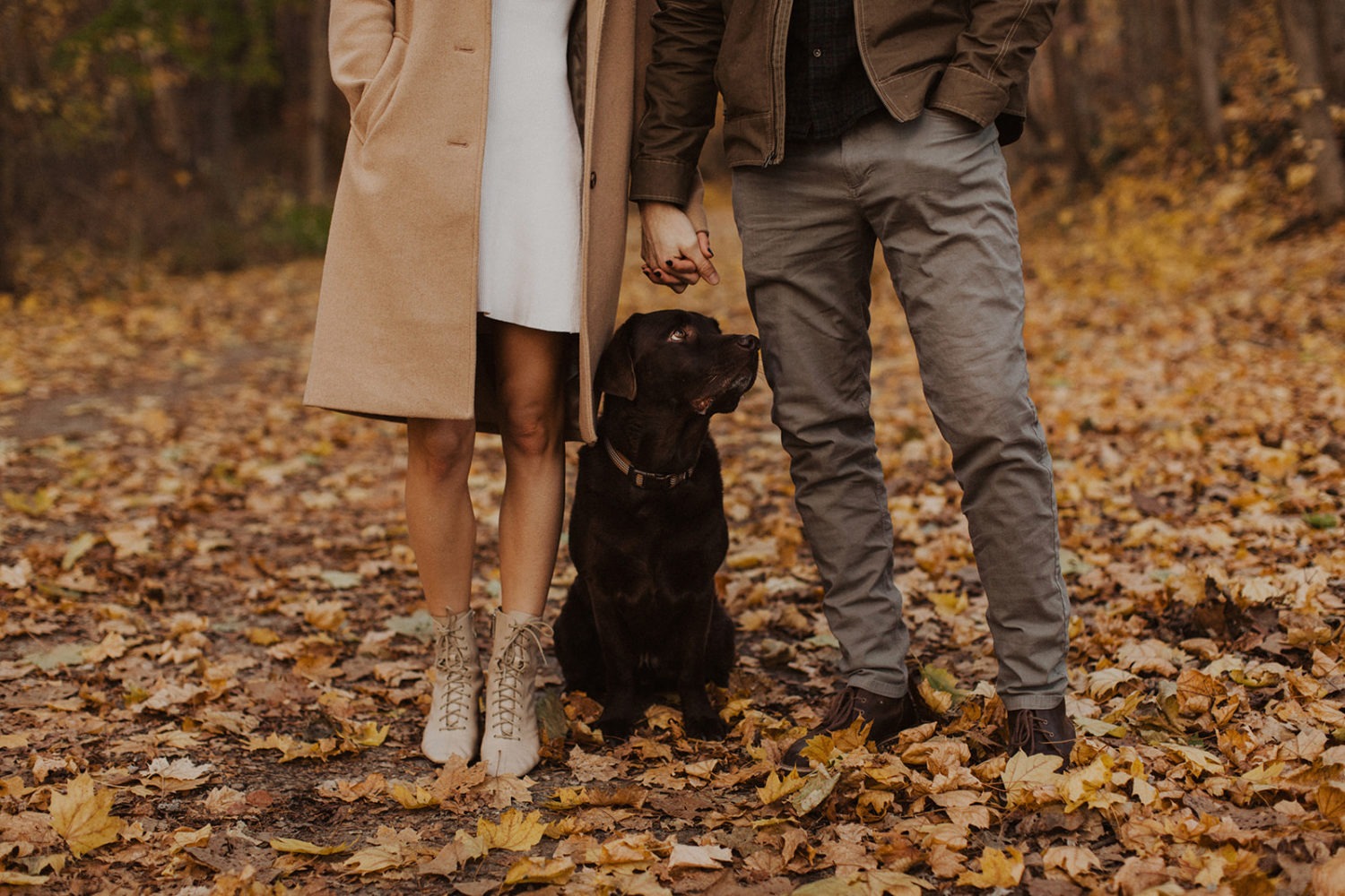 couple holds hands over dog at fall engagement photos session