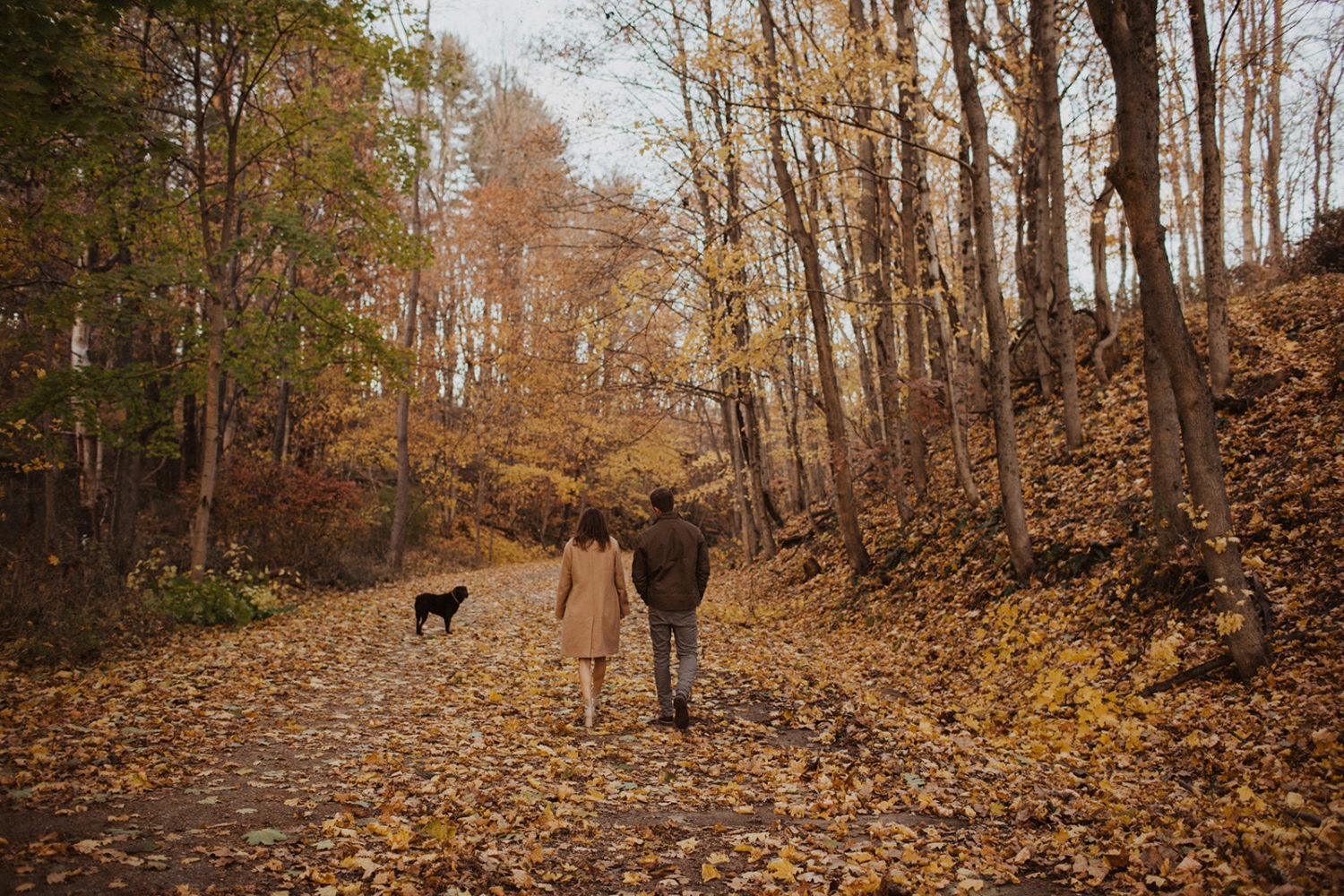 couple walks through forest with dog on a trail at fall engagement photos session