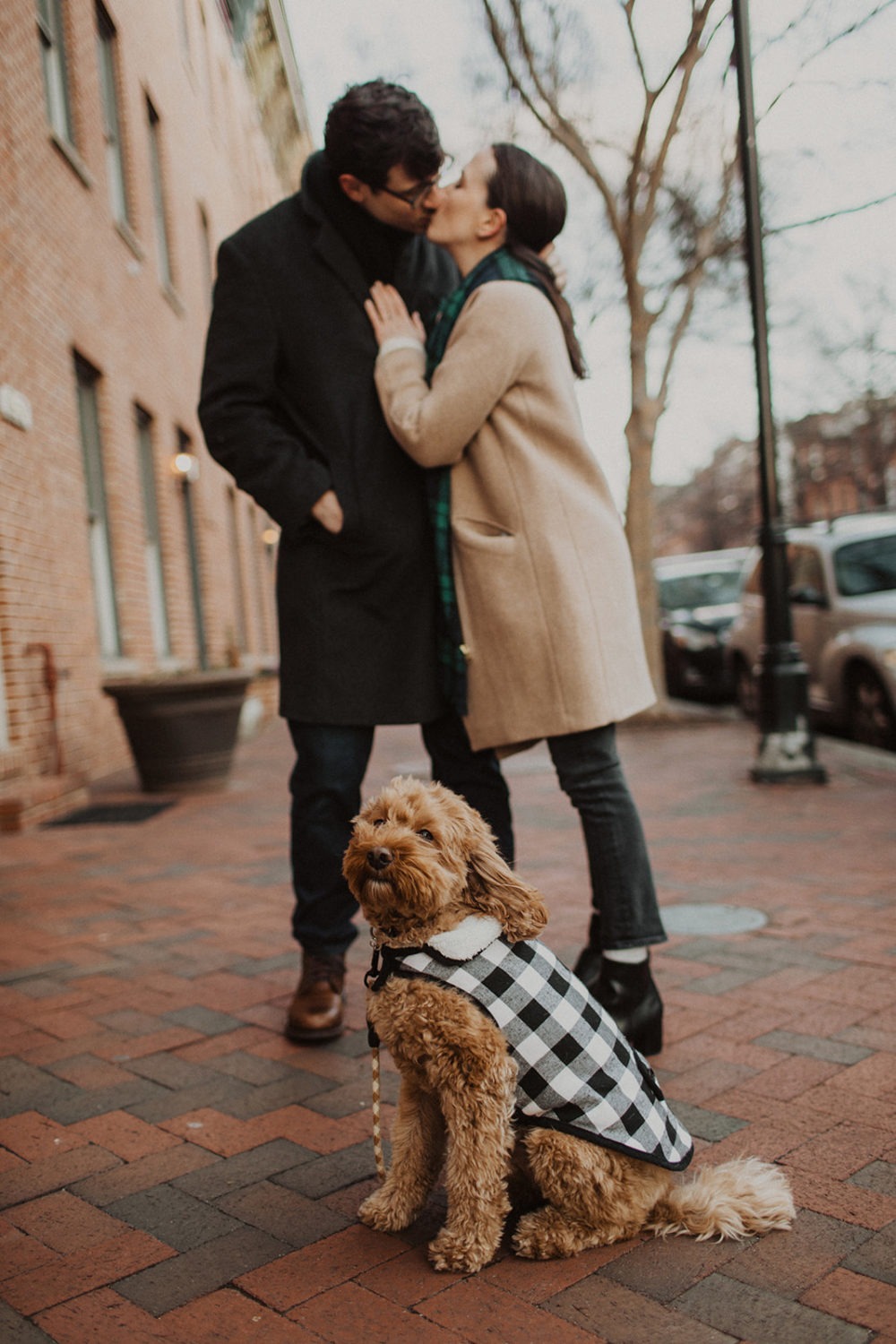 couple kisses beside dog at engagement photos in winter session
