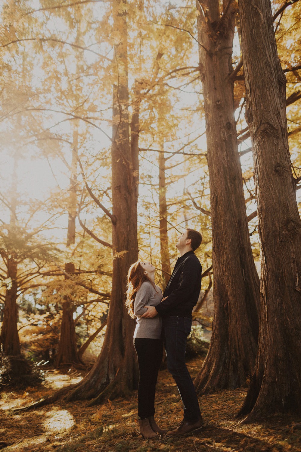 couple looks up at trees in National Arboretum DC engagement session