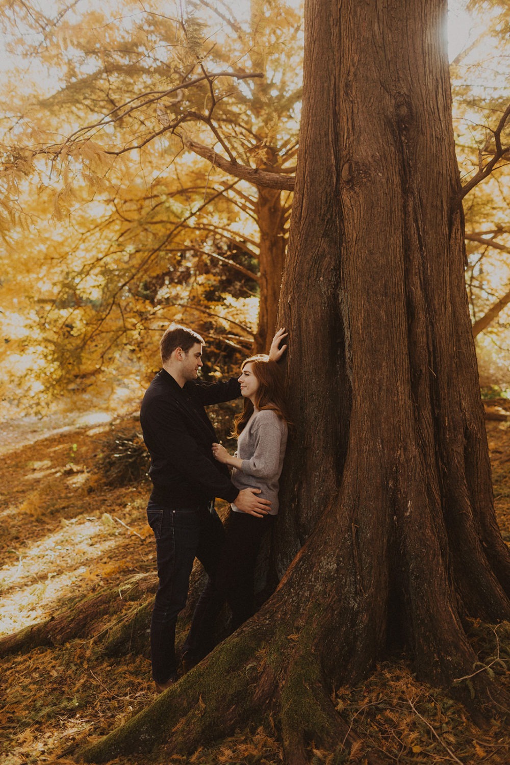 couple embraces leaning against tree sunset fall engagement session