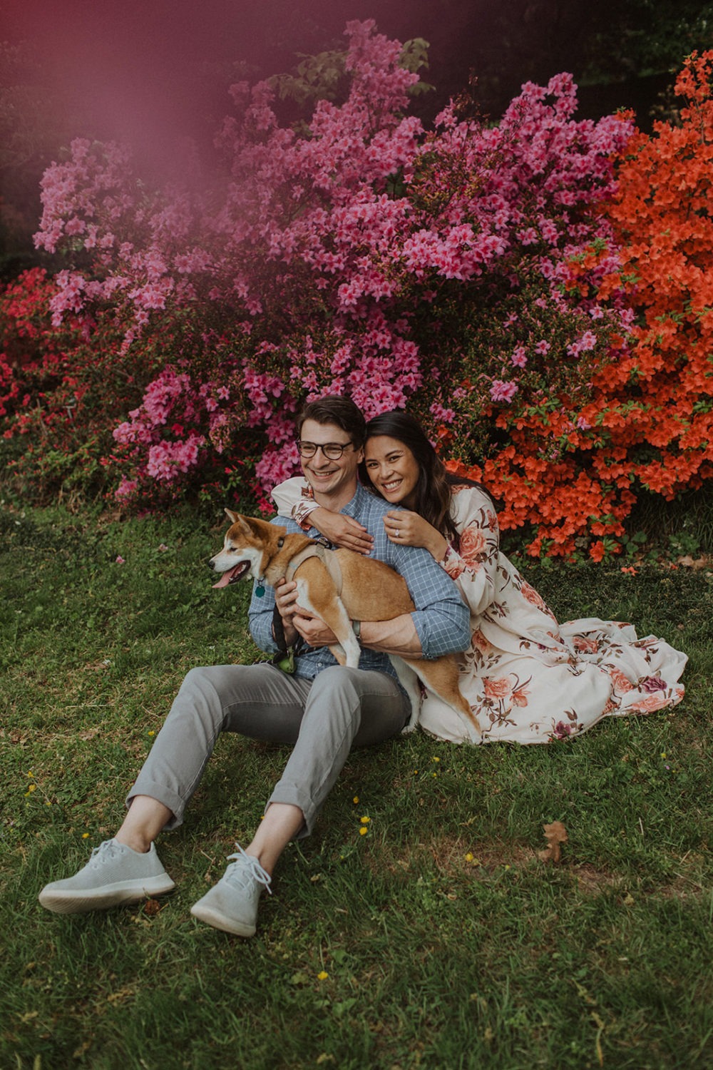 couple sits with dog in front of flower bush at maternity session