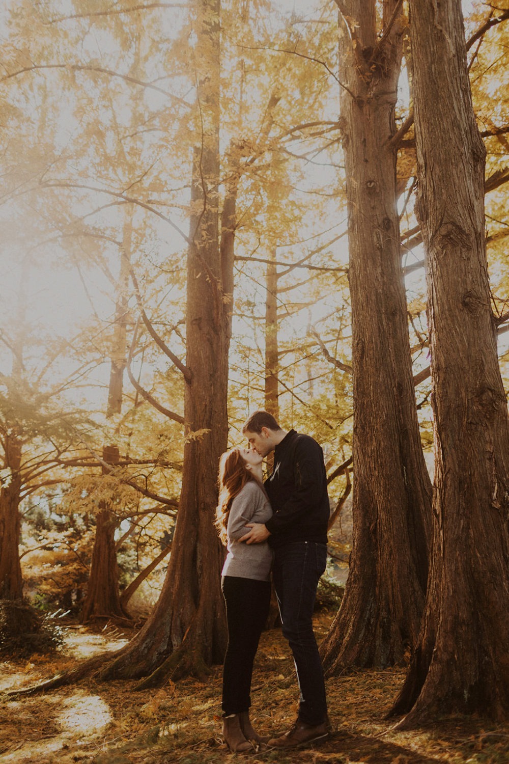 couple kisses under trees at sunset fall engagement session