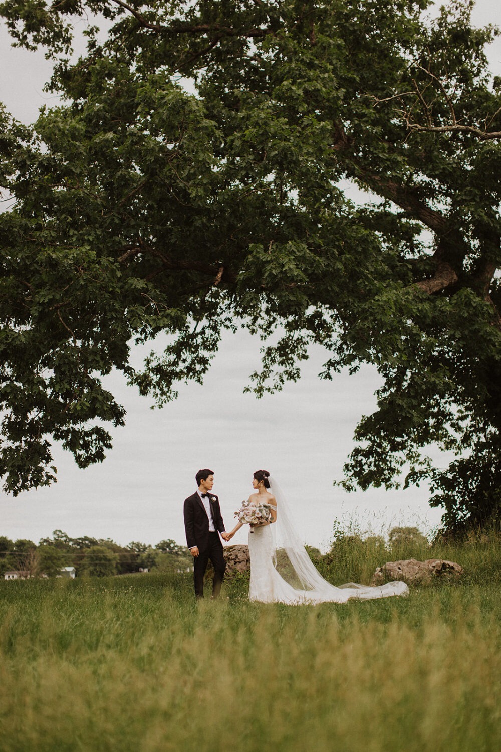 couple stands under tree in grassy field at Virginia wedding venue