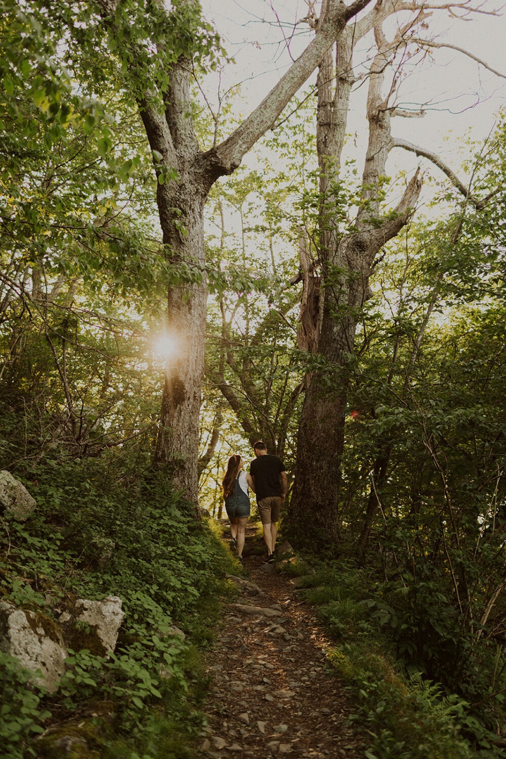 couple walks holding hands through woods in Shenandoah National Park