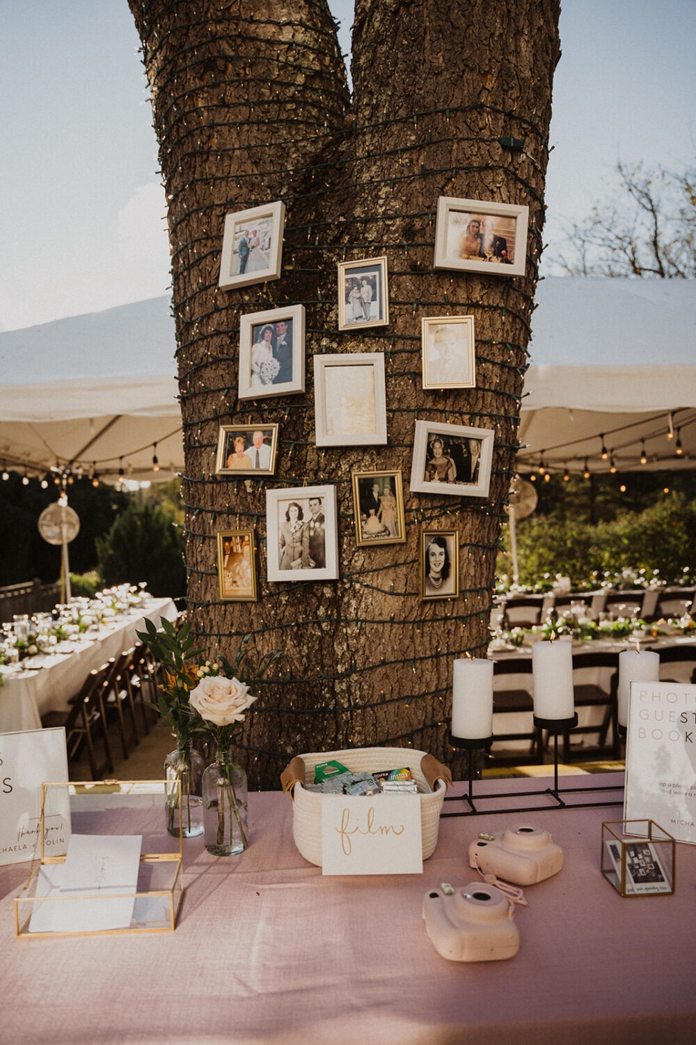 photos hanging on tree as wedding decor 