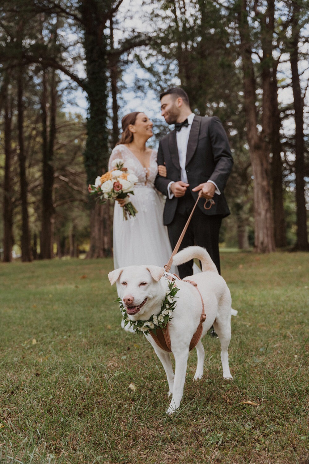 couple holds dog wearing flowers at outdoor wedding