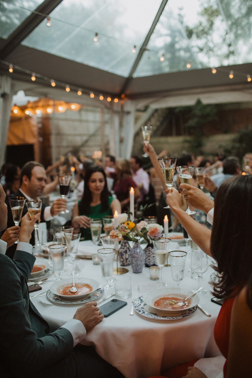 guests cheers at outdoor wedding reception