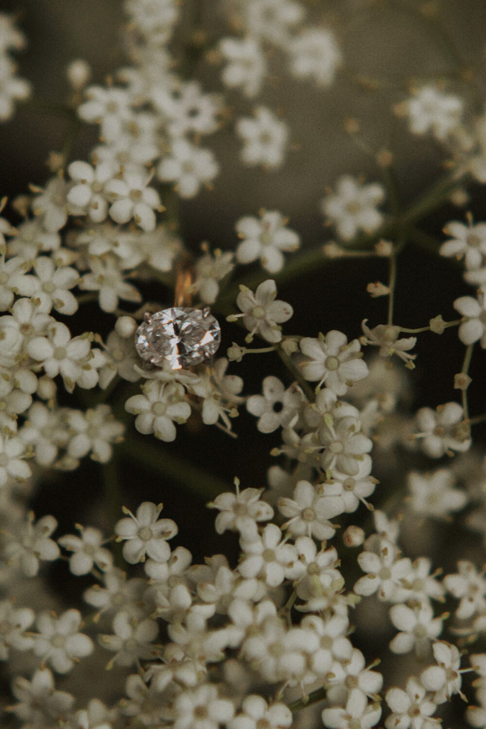 engagement ring sits in white flower