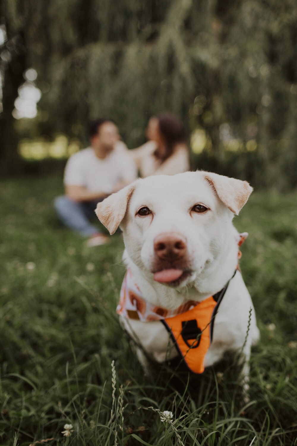 dog joins couple at outdoor engagement session