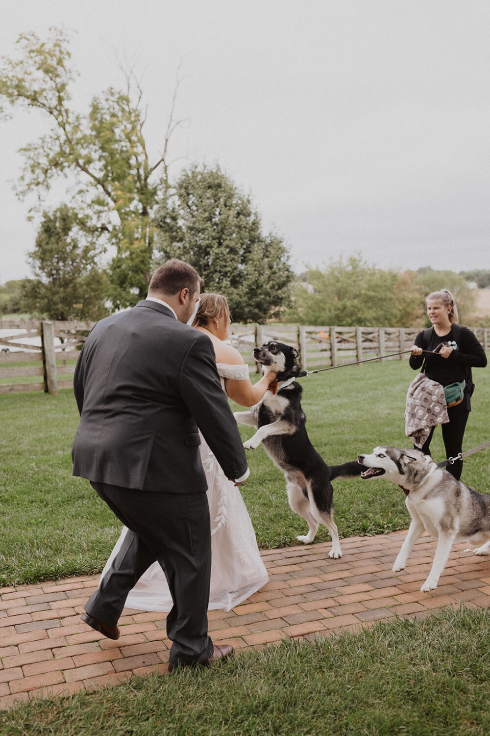couple greets their dogs on wedding day