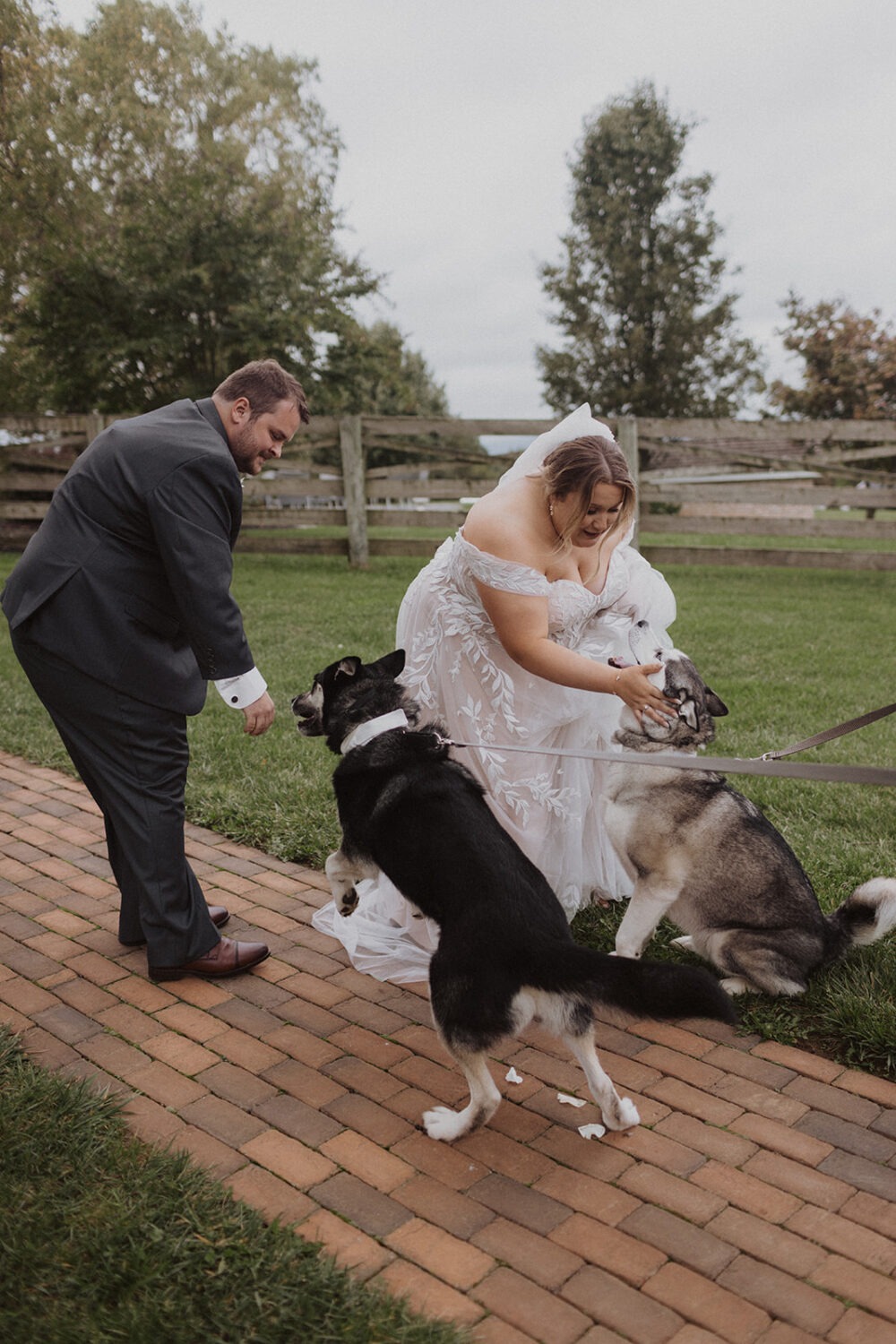 couple greets their dogs on wedding day