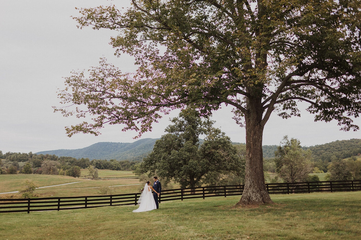 couple holds hands in green field besides mountains at farm wedding